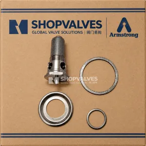 斯派莎克 Spirax Sarco BRV2S 阀芯阀座组件实拍（阀芯、阀座、垫圈与密封环，SHOPVALVES | Armstrong 包装）