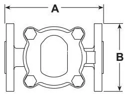 Spirax Sarco FTS14 plano de dimensiones con conexiones roscadas