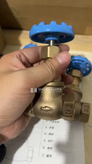斯派莎克 Spirax Sarco hv3 青铜截止阀 1/2" BSP 螺纹 全新到货