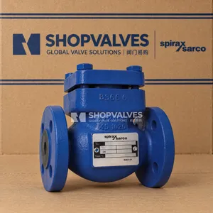 斯派莎克 Spirax Sarco LCV3/LCV4/LCV6/LCV7 升降式止回阀 实拍