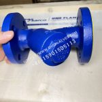 Spirax Sarco Fig33.1 DN25 ductile iron strainer top view