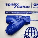 Spirax Sarco 3/4" Fig12 BSP strainer rear view