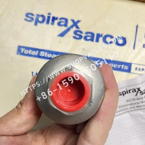 Spirax Sarco AE36A Válvula de Evacuación Automática para Sistemas de Líquidos Fondo