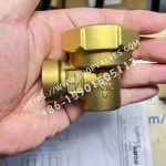 Спиракс Сарко Spirax Sarco 1/2" AV13 воздухоотводчик паровой системы, вид сбоку