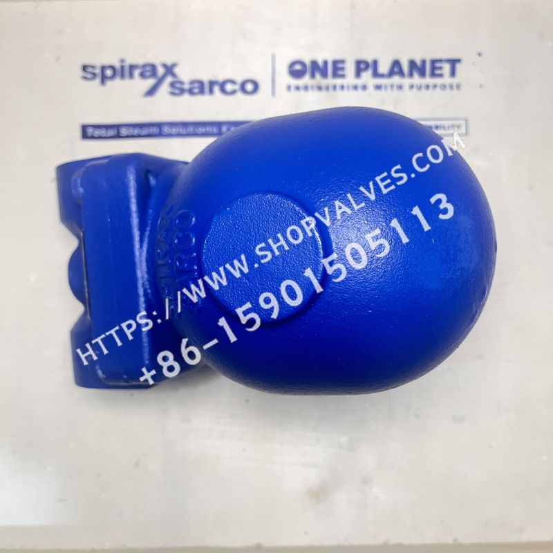 盃40点　直径5.5㎝　東Y5-1027① 盃40点 直径5.5㎝ 東Y5-1027①