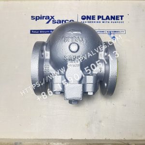 Spirax Sarco FTGS14-4.5 DN25 Conexión de brida positiva