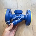 Spirax Sarco TD32F/TD32FLC de conexión bridada, purgador de vapor termodinámico DN15/DN20/DN25 PN40