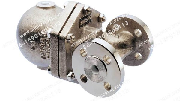 Spirax Sarco CA46 y CA46S, purgadores de aire y gases de acero inoxidable austenítico (DN15-DN25)