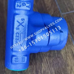 Spirax Sarco BPC32 Purgador de vapor termostático de presión equilibrada con laterales de acero al carbono