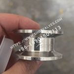 斯派莎克 Spirax Sarco CVS10-1M洁净型金属阀座止回阀