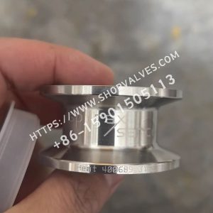 Spirax Sarco CVS10-1M Clean Metal Seat Check Valve