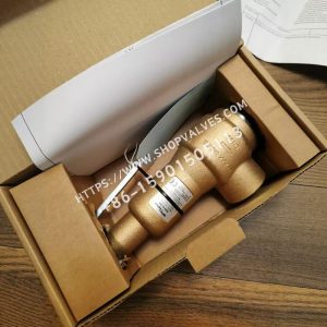 Spirax Sarco 3/4" x 1 1/4" SV615 Válvula de seguridad AS