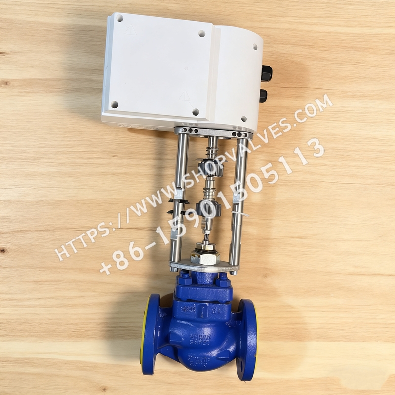 斯派莎克 AEL3E 电动执行器 背面