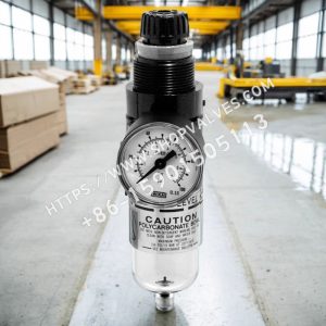 Spirax Sarco Spirax Sarco MPC2M filtro/regulador de aire comprimido de alta eficiencia