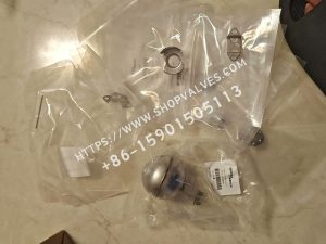 Kit de reparación Spirax Sarco FTGS14/FT14