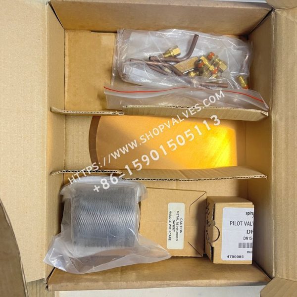 Kit de reparación Spirax Sarco DP27/DP27R