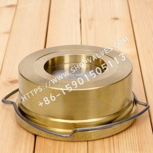 Gestra GESTRA RK44 válvula de retención de bronce - tipo wafer
