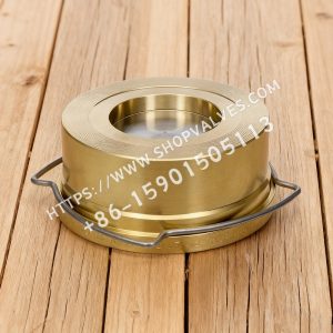 Gestra GESTRA RK41 válvula de retención tipo wafer PN 16 DN15-200