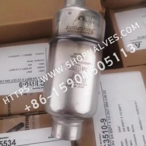 Armstrong Armstrong 11-AV válvula de purga de aire de acero inoxidable